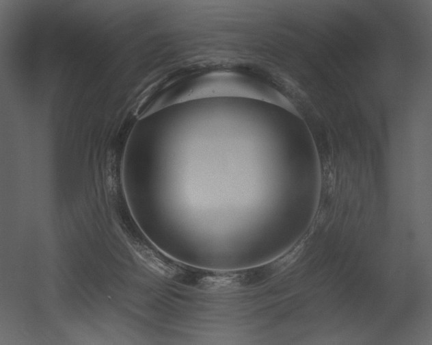 X0000053010170200507081309