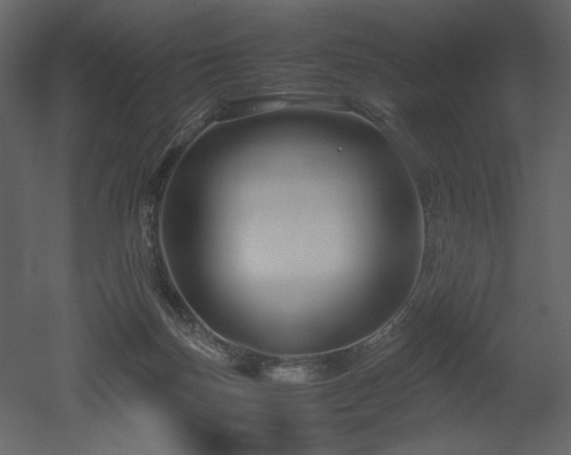 X0000053010171200507081309
