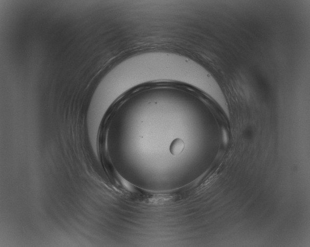 X0000053010172200507081309