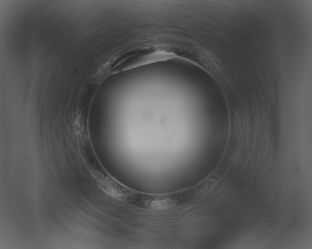 X0000053010173200507081309