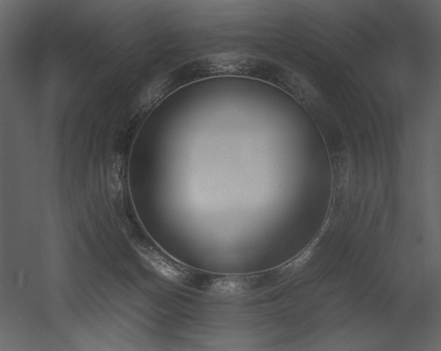 X0000053010174200507081309