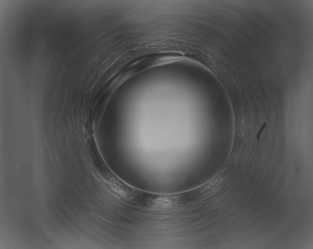 X0000053010176200507081309