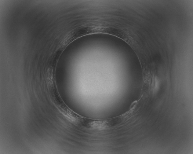 X0000053010179200507081309