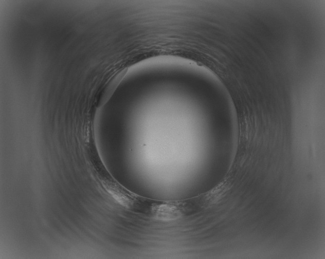 X0000053010180200507081309