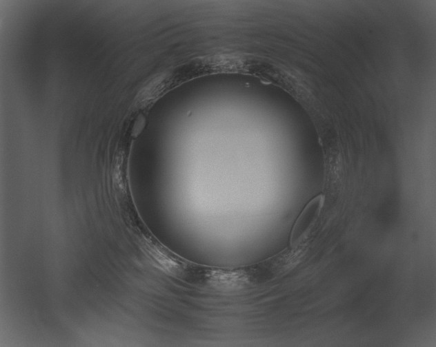 X0000053010185200507081309