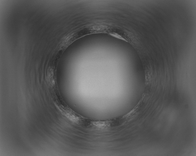 X0000053010187200507081309