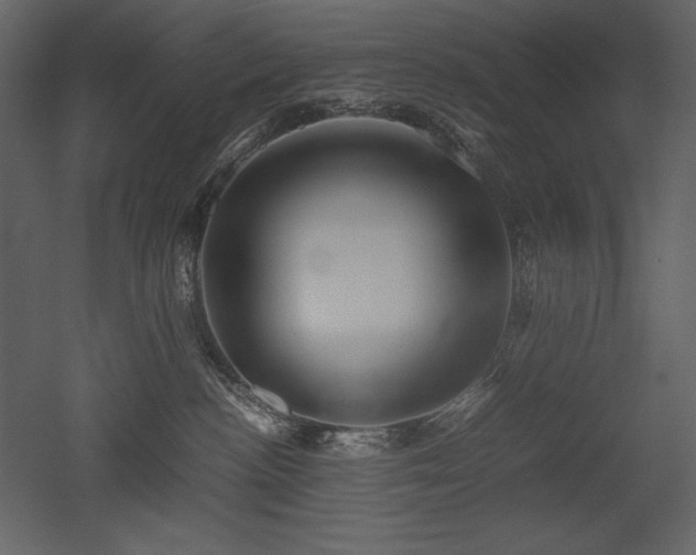 X0000053010188200507081309