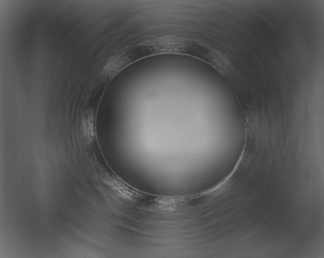 X0000053010190200507081309