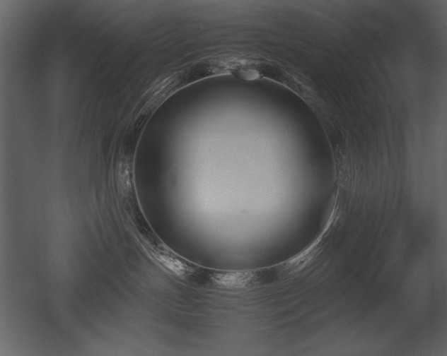 X0000053010191200507081309