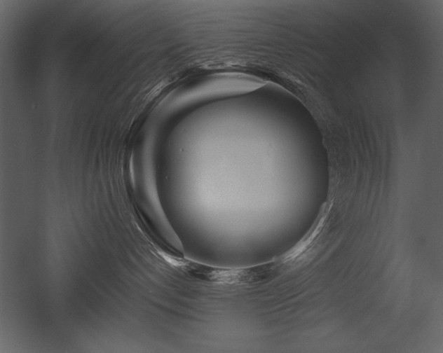 X0000053010192200507081309