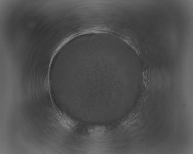 X0000053010196200507081308