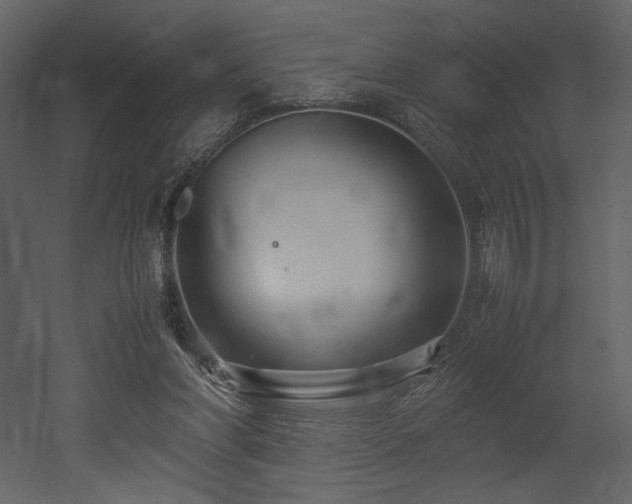 X0000053010206200507081308