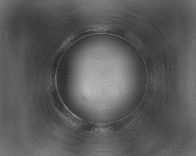X0000053010208200507081308