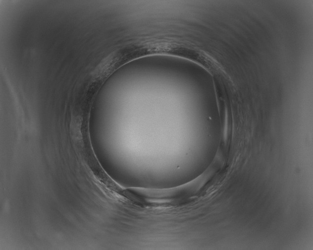X0000053010209200507081308