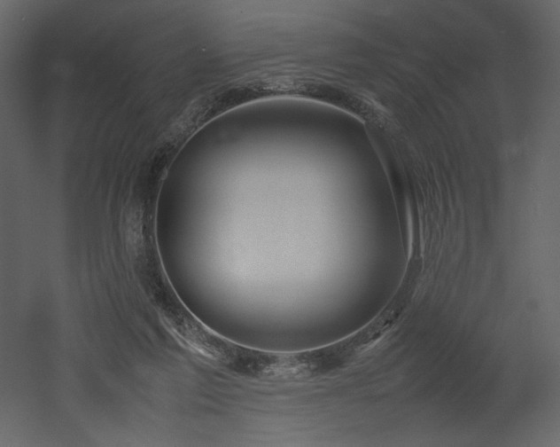 X0000053010213200507081308