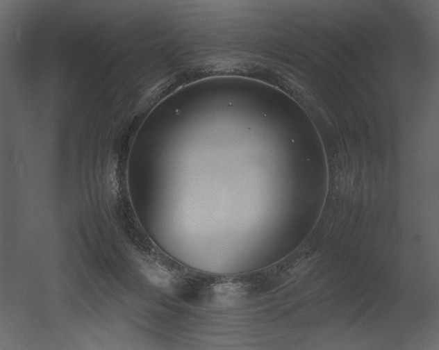 X0000053010216200507081308