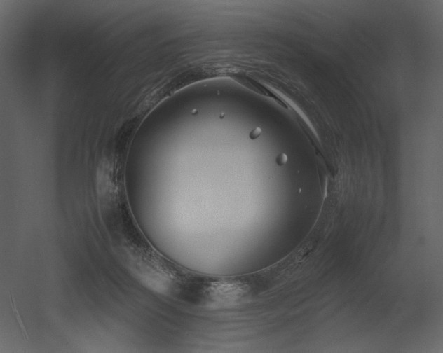 X0000053010218200507081308