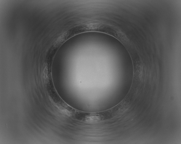 X0000053010220200507081308