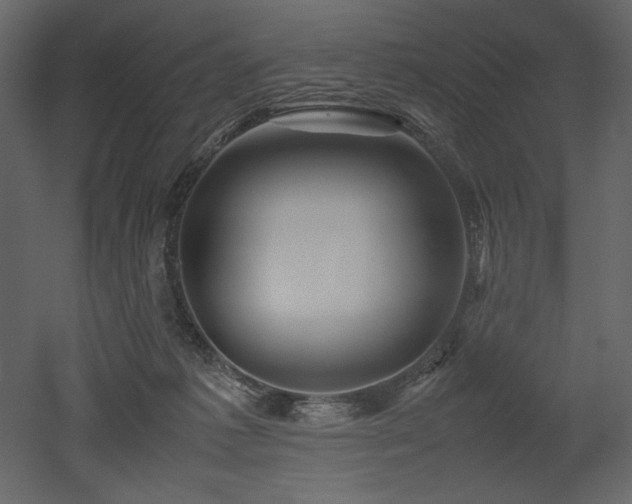 X0000053010221200507081308