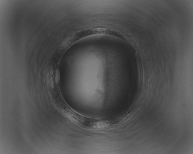 X0000053010223200507081308