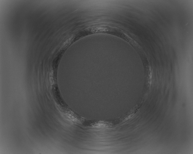 X0000053010224200507081308