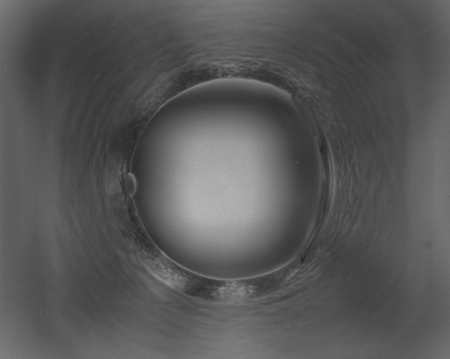 X0000053010225200507081308