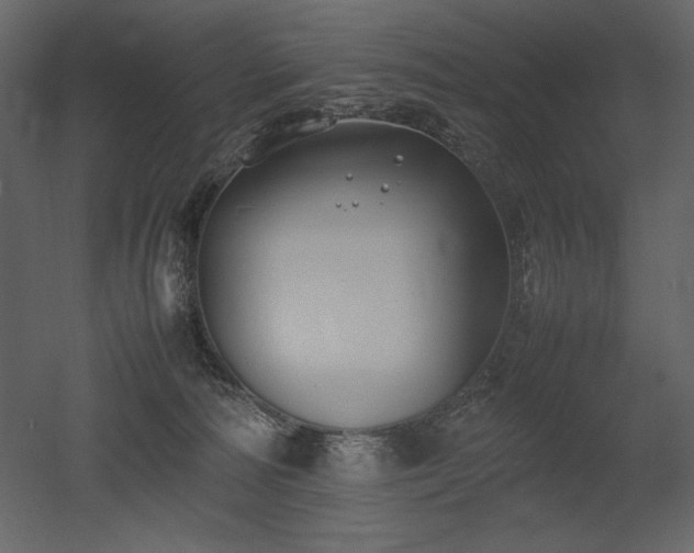 X0000053010226200507081308