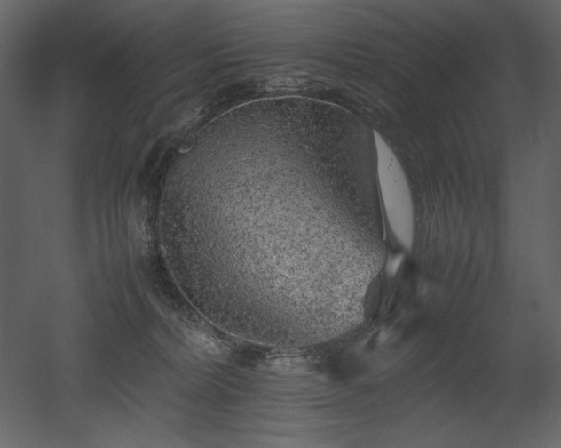 X0000053010228200507081308