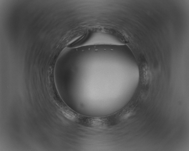 X0000053010229200507081308