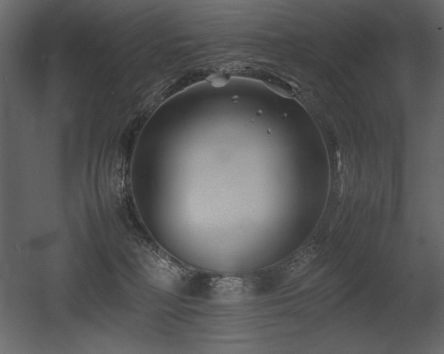 X0000053010230200507081308