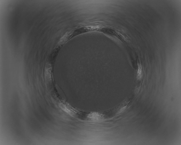 X0000053010231200507081308
