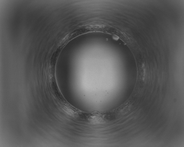 X0000053010232200507081308