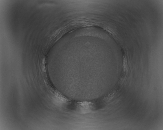 X0000053010233200507081308