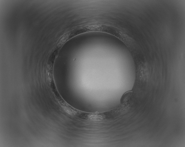 X0000053010234200507081308