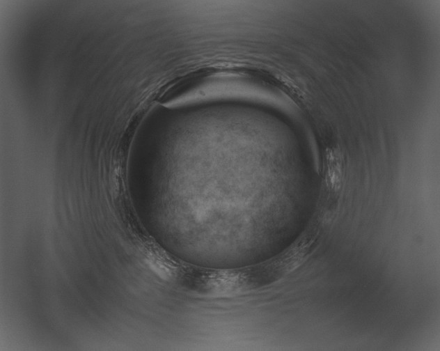 X0000053010235200507081308