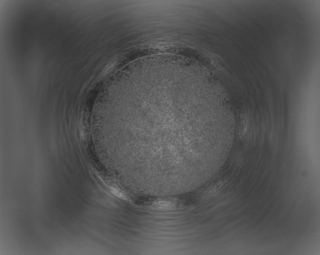 X0000053010236200507081308