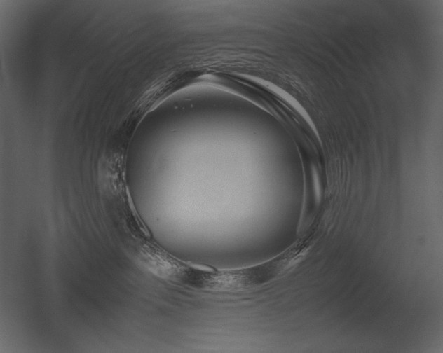 X0000053010237200507081308
