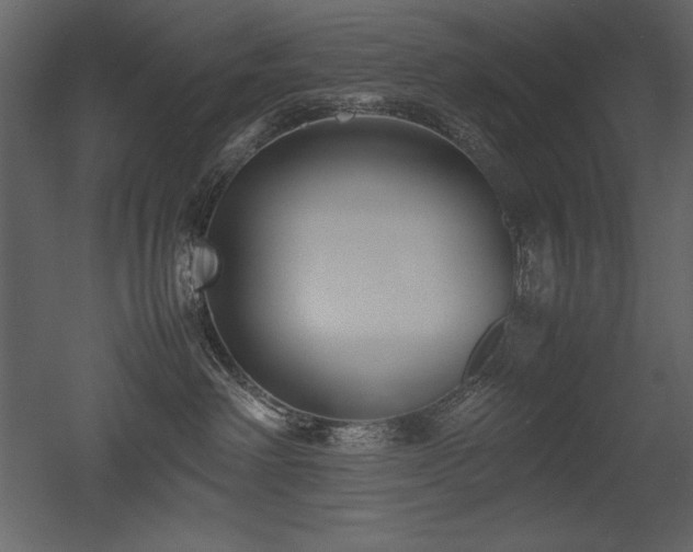 X0000053010238200507081308