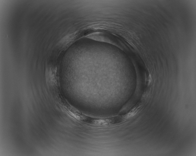 X0000053010239200507081308