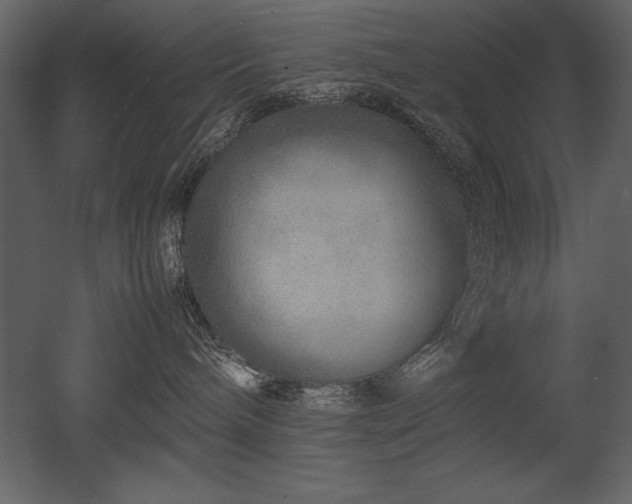 X0000053010240200507081308