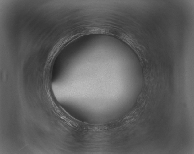X0000053010241200507081307