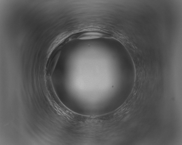 X0000053010242200507081307
