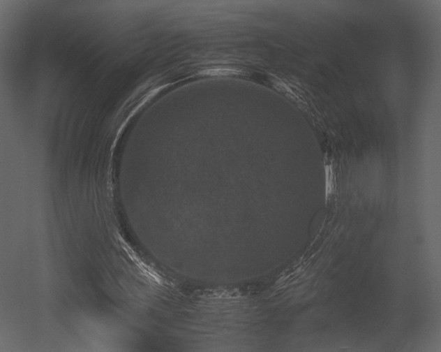 X0000053010243200507081307