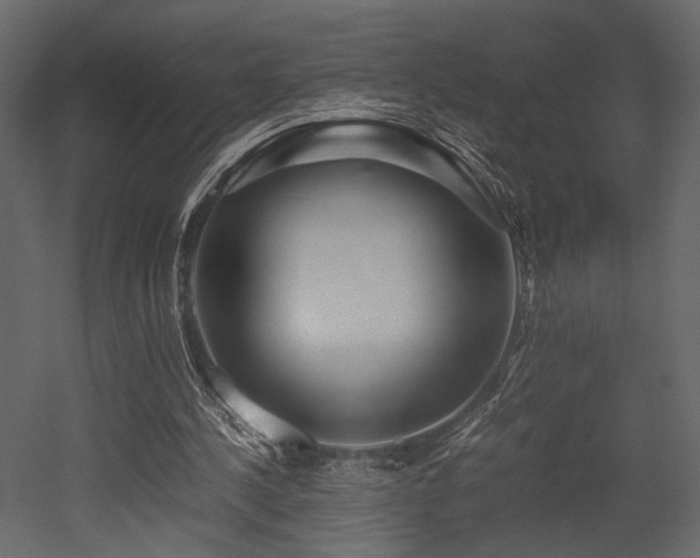X0000053010244200507081307