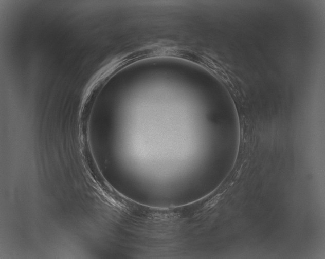 X0000053010245200507081307