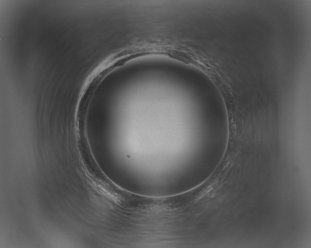 X0000053010246200507081307