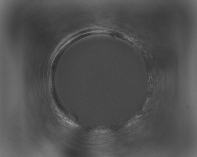 X0000053010247200507081307