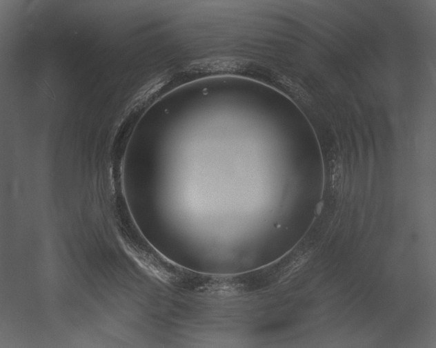 X0000053010254200507081307