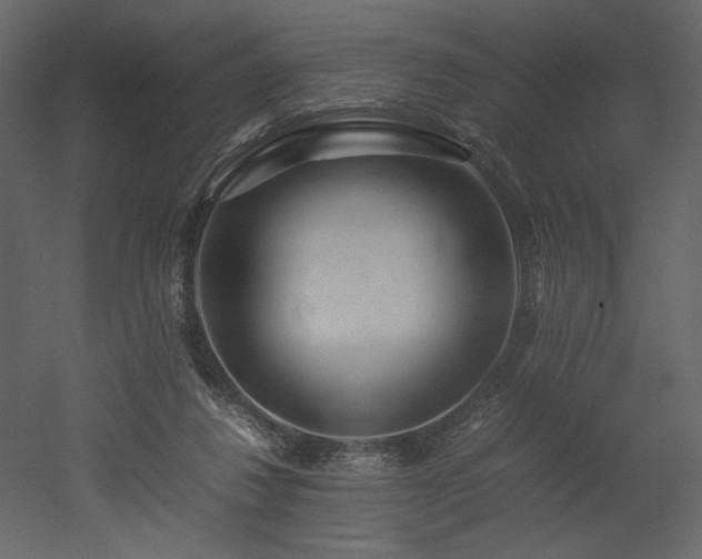 X0000053010260200507081307