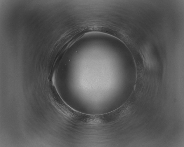 X0000053010262200507081307